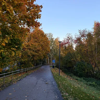 A head full of dreams