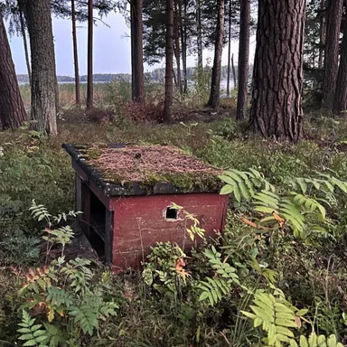 Certified and it feels so good