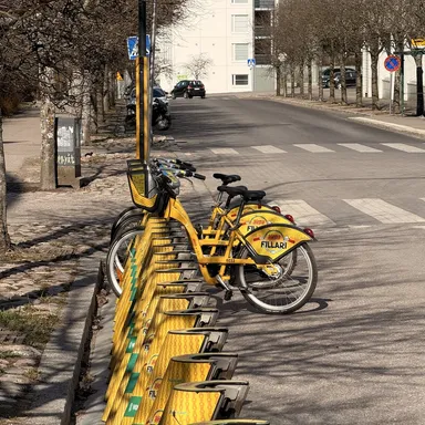 City Biking Through the Summer