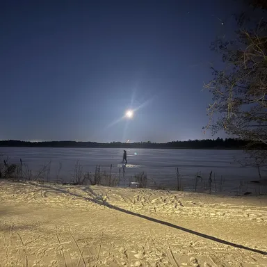Winter Wonderland