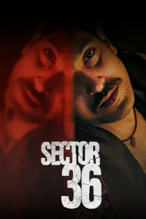 Poster for Sector 36
