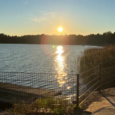 Spectacular Solar Punk