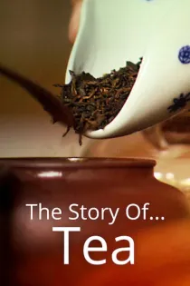 Poster for Story of…Tea