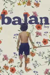 Poster for The Boy