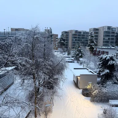 The families we make