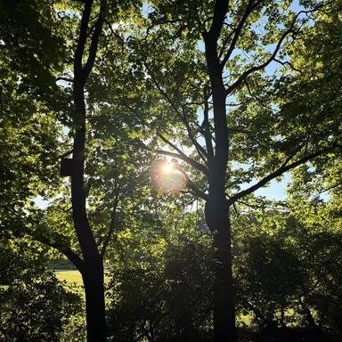 Vacations and Noticing Things