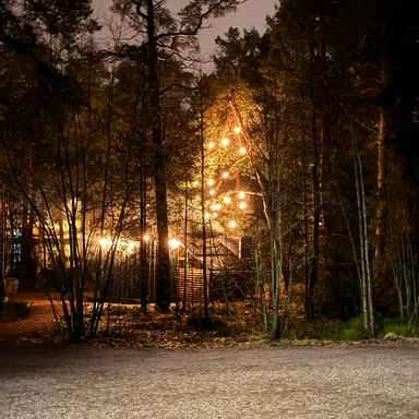 Writing and publishing